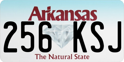 AR license plate 256KSJ
