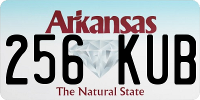 AR license plate 256KUB