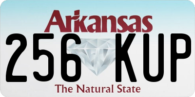 AR license plate 256KUP