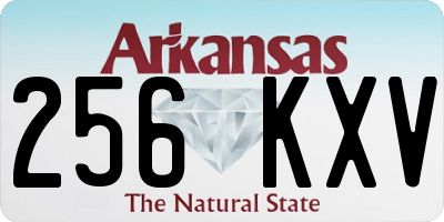AR license plate 256KXV