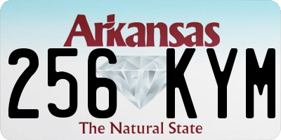 AR license plate 256KYM