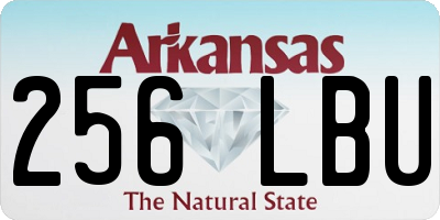 AR license plate 256LBU