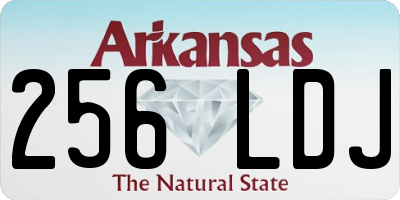 AR license plate 256LDJ