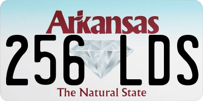 AR license plate 256LDS