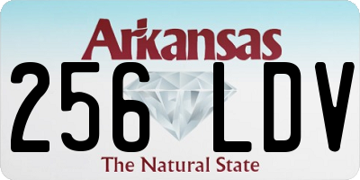 AR license plate 256LDV