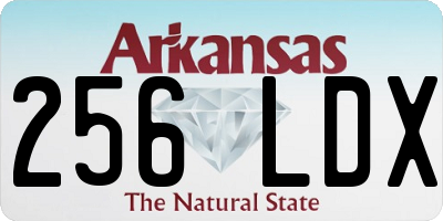 AR license plate 256LDX