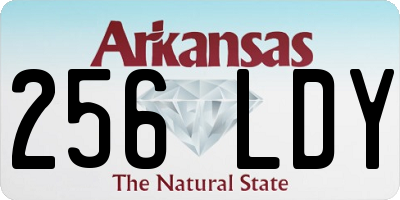 AR license plate 256LDY