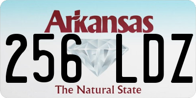 AR license plate 256LDZ