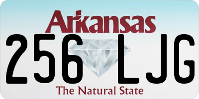AR license plate 256LJG