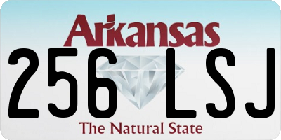 AR license plate 256LSJ