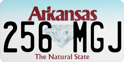 AR license plate 256MGJ