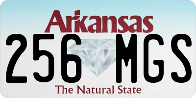 AR license plate 256MGS