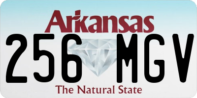 AR license plate 256MGV
