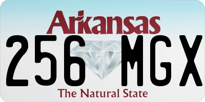 AR license plate 256MGX