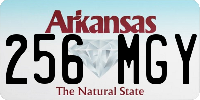 AR license plate 256MGY