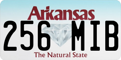 AR license plate 256MIB