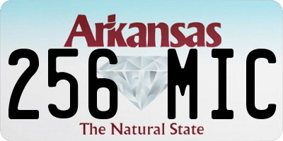 AR license plate 256MIC