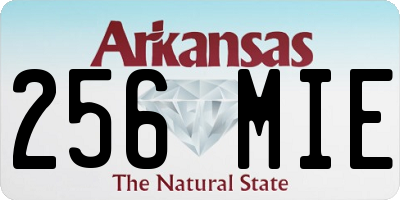 AR license plate 256MIE