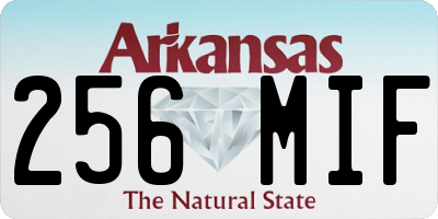 AR license plate 256MIF