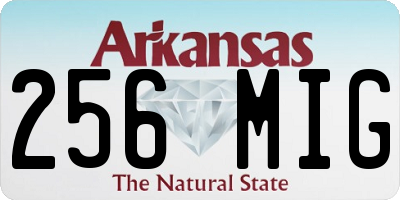 AR license plate 256MIG