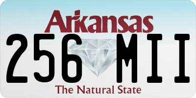 AR license plate 256MII