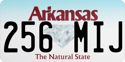 AR license plate 256MIJ