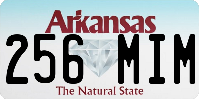AR license plate 256MIM
