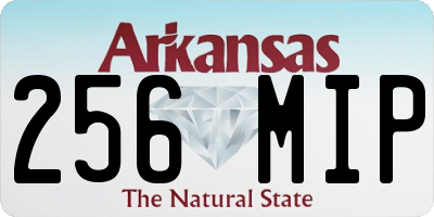 AR license plate 256MIP