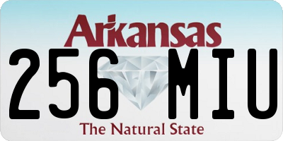 AR license plate 256MIU