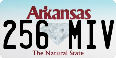 AR license plate 256MIV