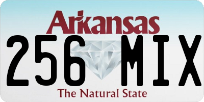 AR license plate 256MIX