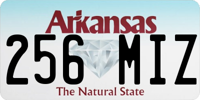 AR license plate 256MIZ