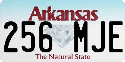 AR license plate 256MJE