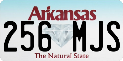 AR license plate 256MJS