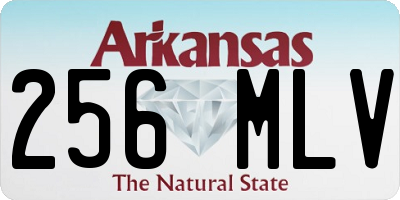 AR license plate 256MLV