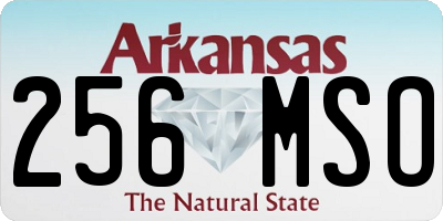 AR license plate 256MSO