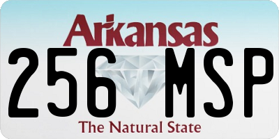 AR license plate 256MSP