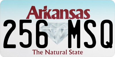 AR license plate 256MSQ