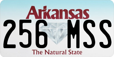 AR license plate 256MSS