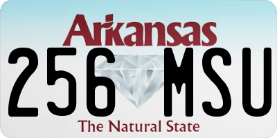 AR license plate 256MSU