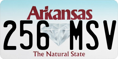 AR license plate 256MSV
