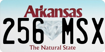 AR license plate 256MSX
