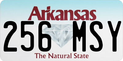 AR license plate 256MSY