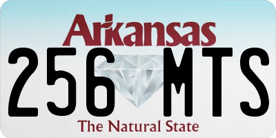 AR license plate 256MTS