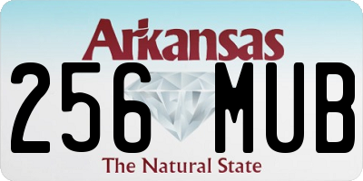 AR license plate 256MUB