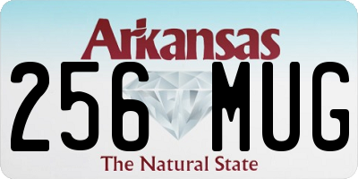 AR license plate 256MUG