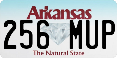 AR license plate 256MUP