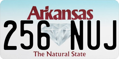 AR license plate 256NUJ