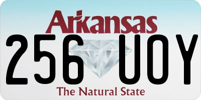 AR license plate 256UOY