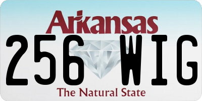 AR license plate 256WIG